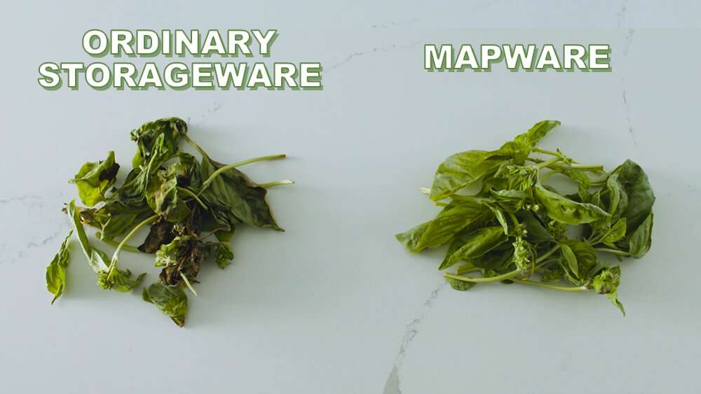 MAPWARE Comparison to Ordinary Storageware - Greens